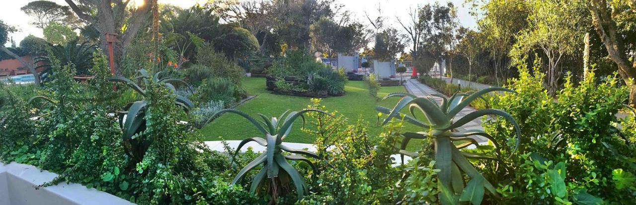 Gardenview Guest House Port Elizabeth Exteriör bild