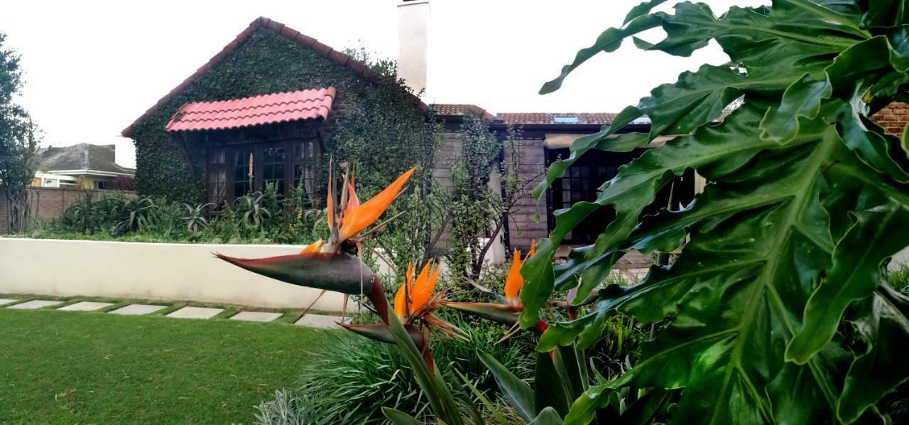 Gardenview Guest House Port Elizabeth Exteriör bild